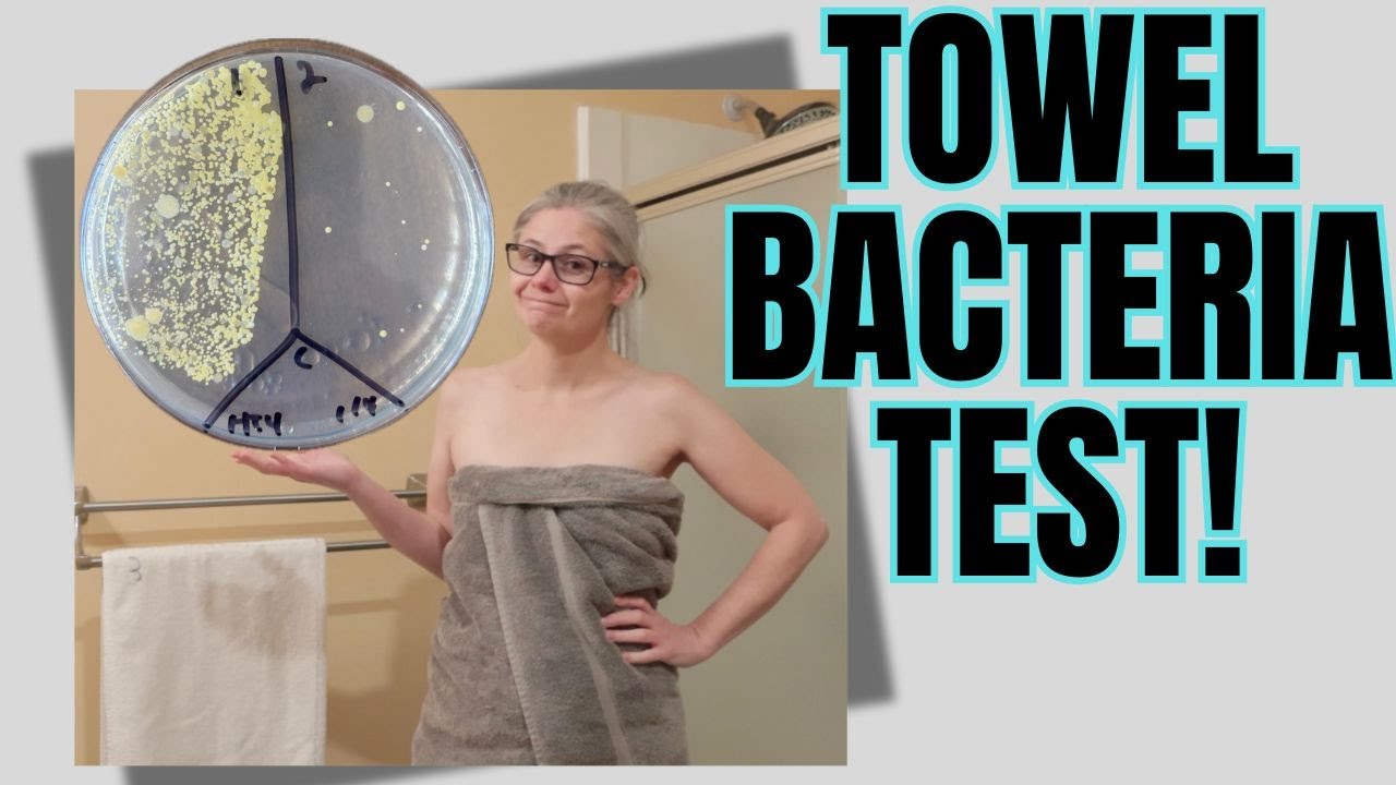 How Often Should You Wash Your Towels? I Bacteria Tested Mine!