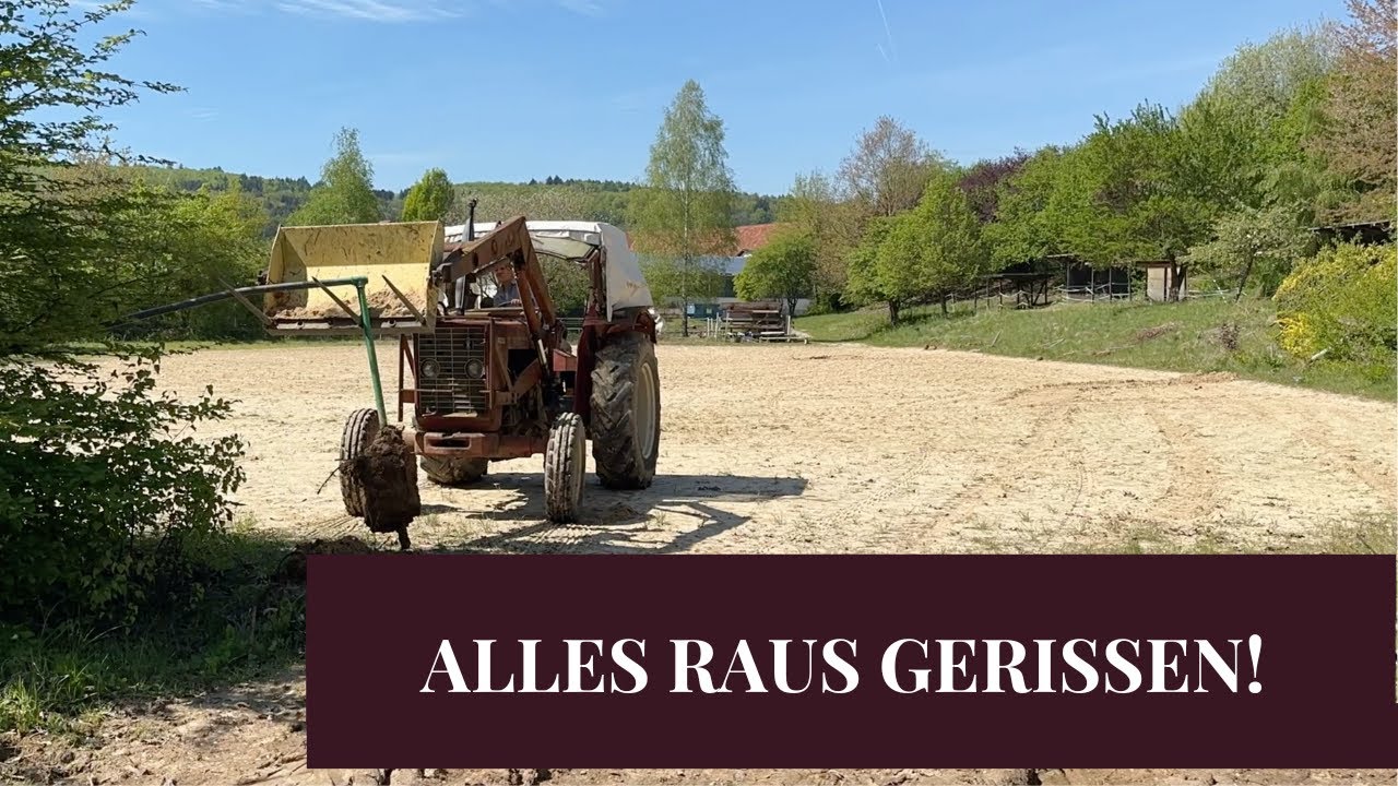 Ich reiße ALLES raus im Reitstall 🐴