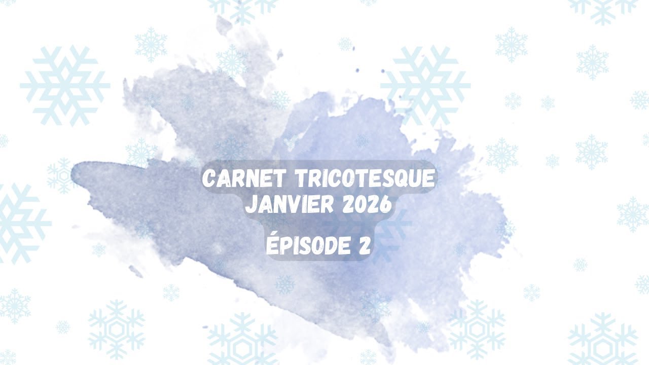 carnet tricotesque d'hiver E2 : #vlogtricot fin d'année 2025