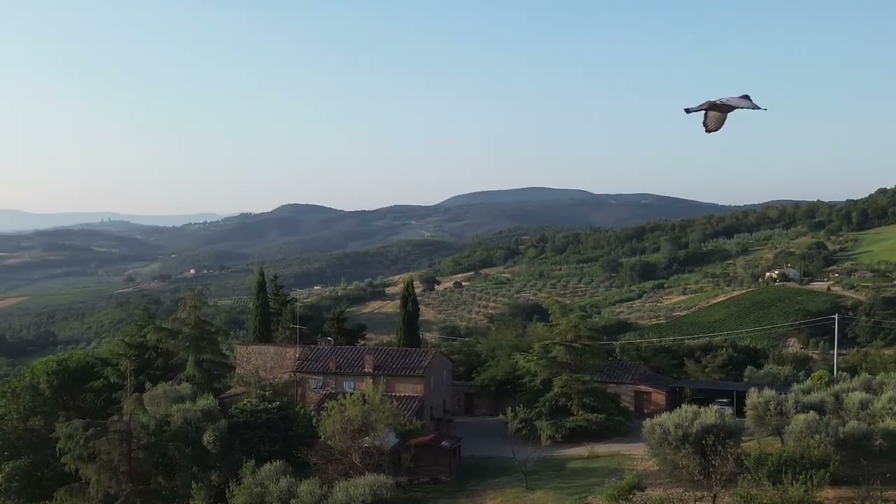 Leaving San Miniato & Gambassi Terme 🌄🌄