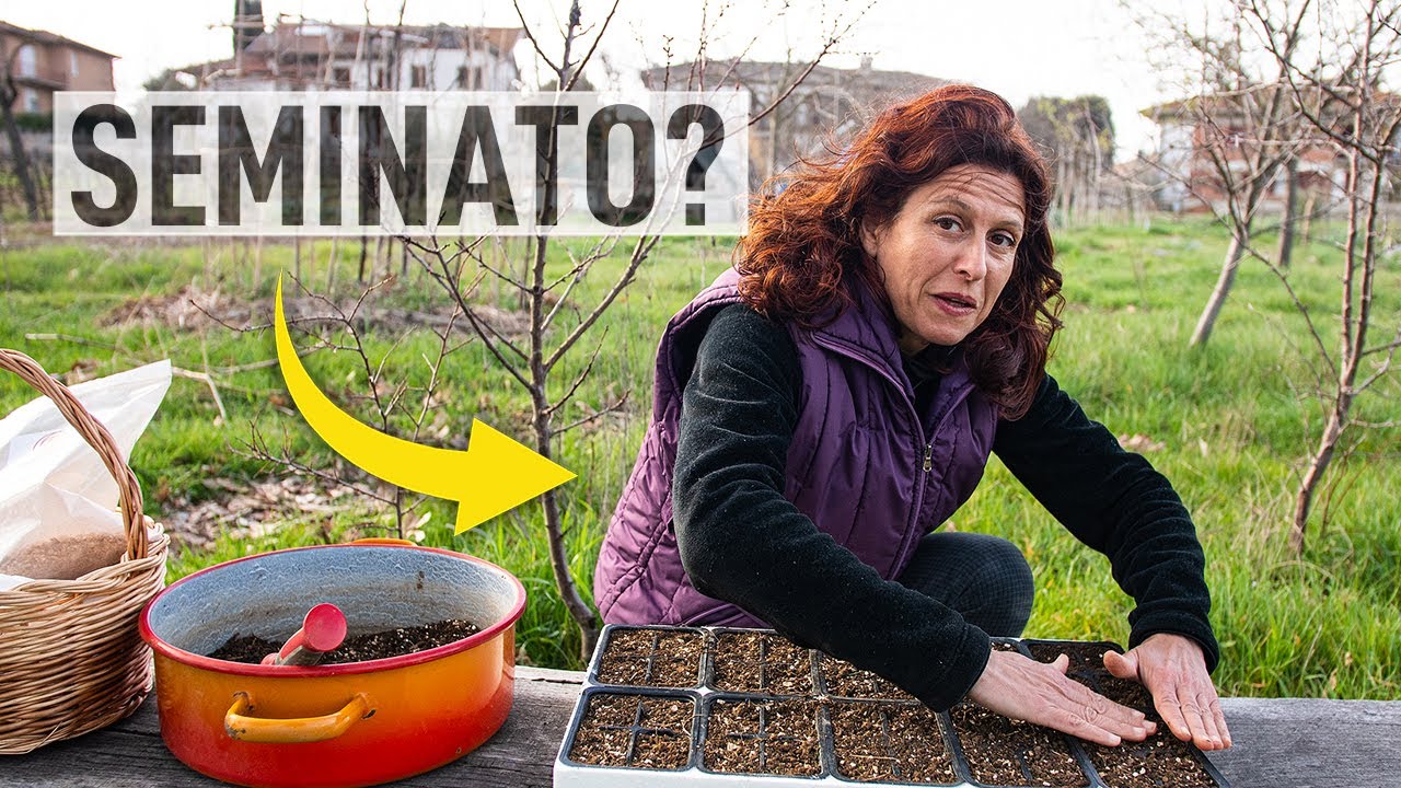 MARZO nell'ORTO. SEMINE da fare A TERRA e in SEMENZAIO