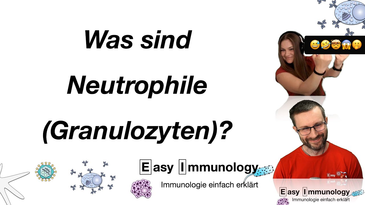 Easy Immunology: Neutrophile (Granulozyten)?