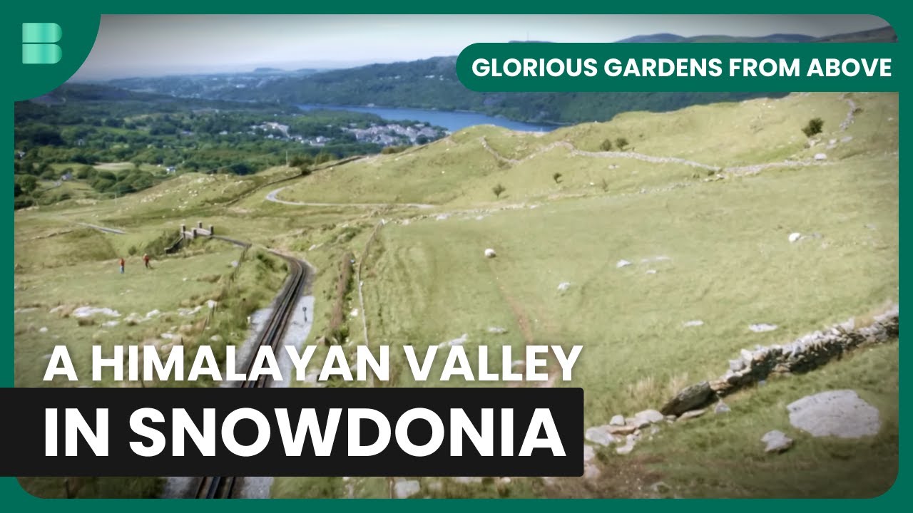 Snowdonia's Stunning Gardens - Glorious Gardens From Above - S01 EP8 - Gardening Show