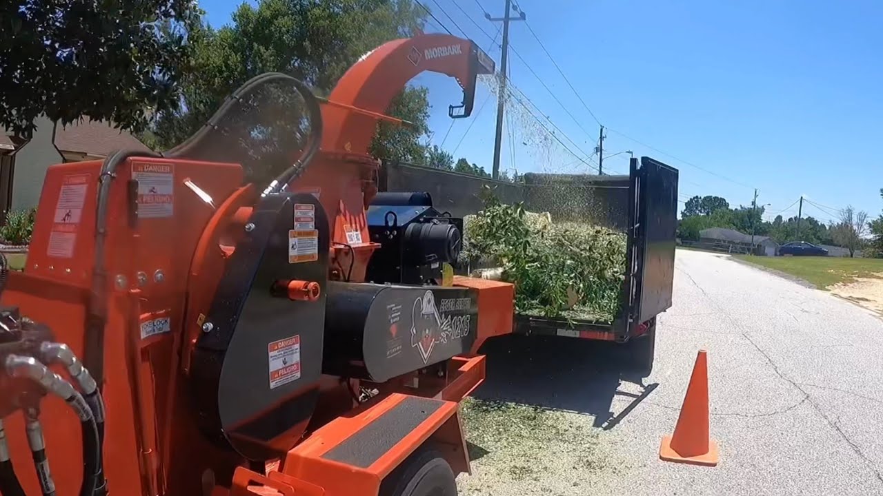 Tree Removal By MAIN POWER LINE #ZML EHC Pressure Washing & Tree Removal