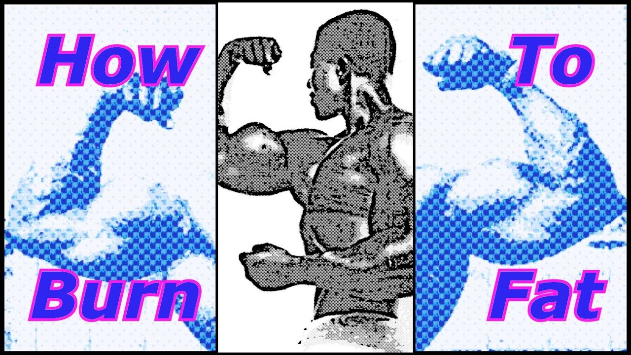 How To Burn Fat - Bodybuilding Tips To Get Big