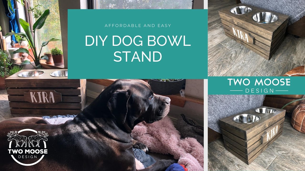 Building a Raised Feeder // Feeding Station // Bowl Stand //  For Your Dog // How to // DIY