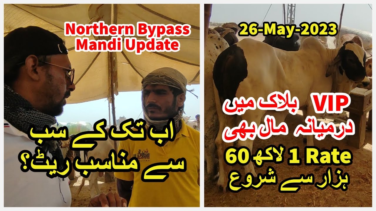 Iske Rate Munasib Lage. VIP Block. Northern Bypass Mandi Update 2023