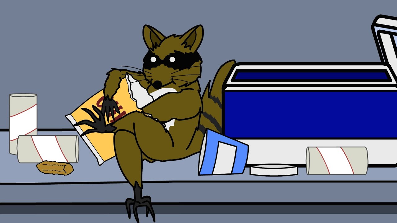Raccoon News | Animated Podcast