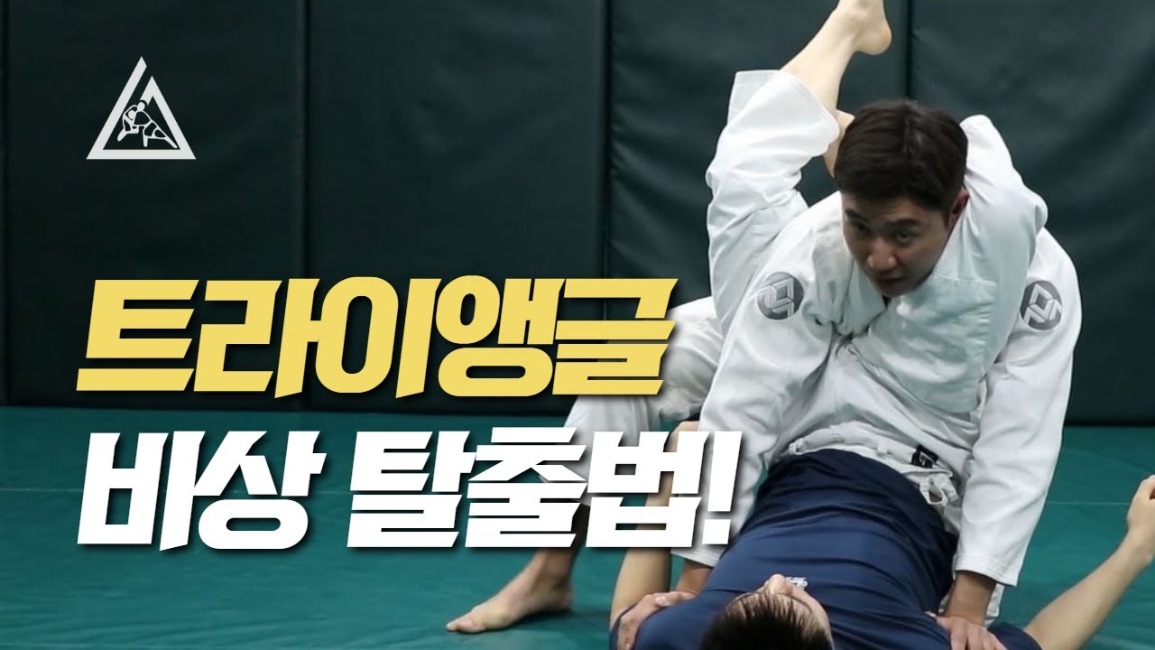 트라이앵글 초크 비상 탈출법!