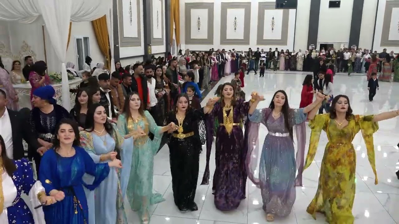 Renas & Deniz TAYŞUN AİLESİ Düğünü Part 4 ( Grup Hozan Azad Silopi ) 2023
