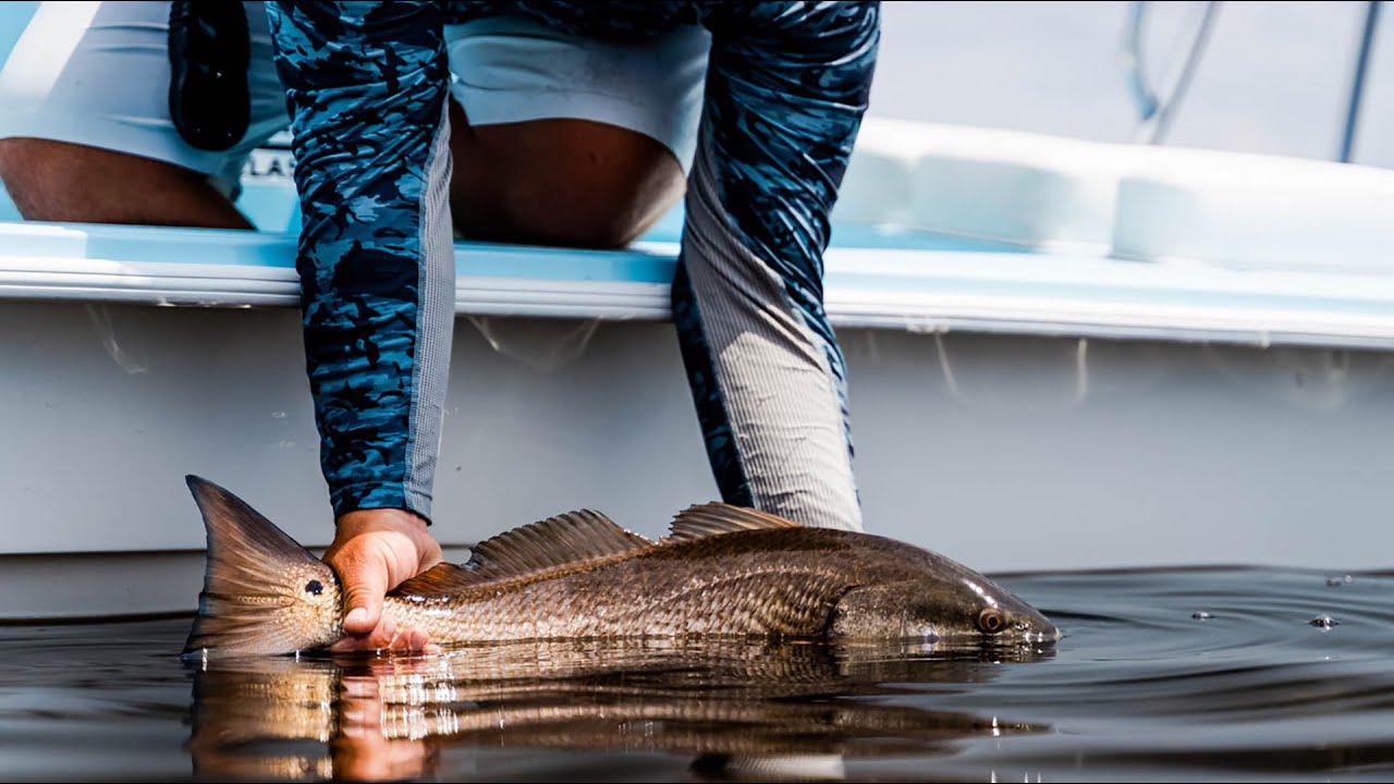 Flats Class - Spinnerbaits in Saltwater?