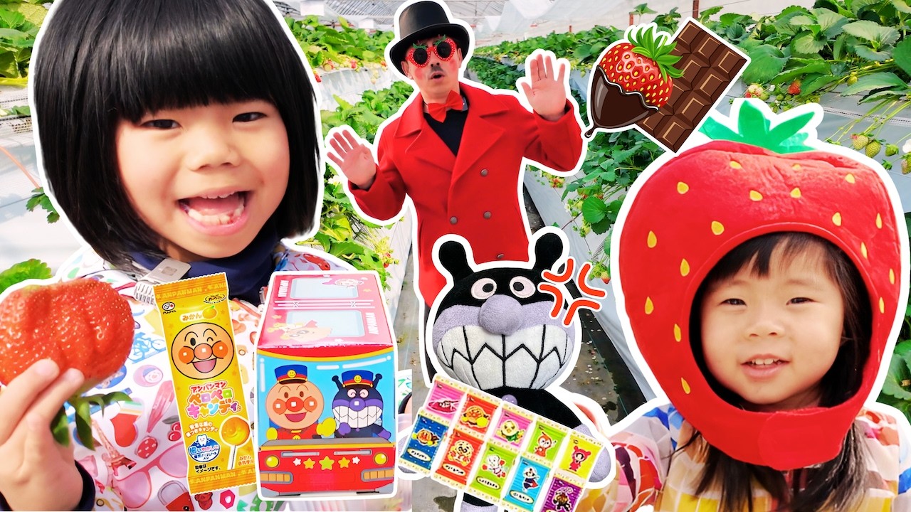【アンパンマン】バイキンマンのバレンタインチョコをパパが食べて大混乱！？ストロベリー伯爵に変身していちご狩りへ！寸劇 | 知育 | 食育 | アンパンマントレイン