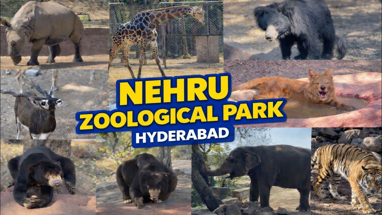 Nehru Zoological Park Hyderabad | Hyderabad Zoo Park Full Tour
