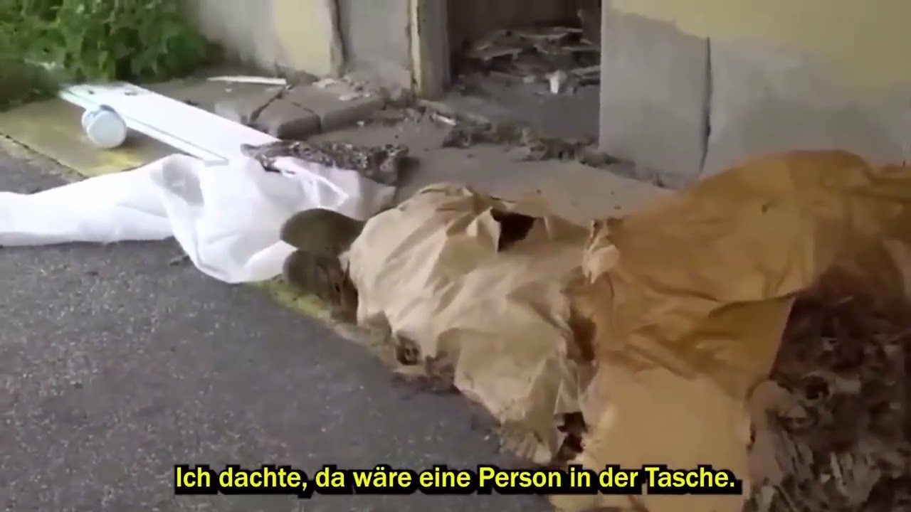 31 Verstörende Aufnahmen Von Campern (AUGUST 2025 SUPERCUT)
