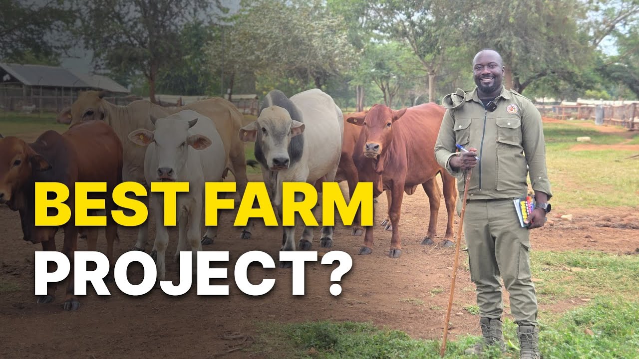 How to Choose the Best Farming Project - Avoid Wasting Time & Money!