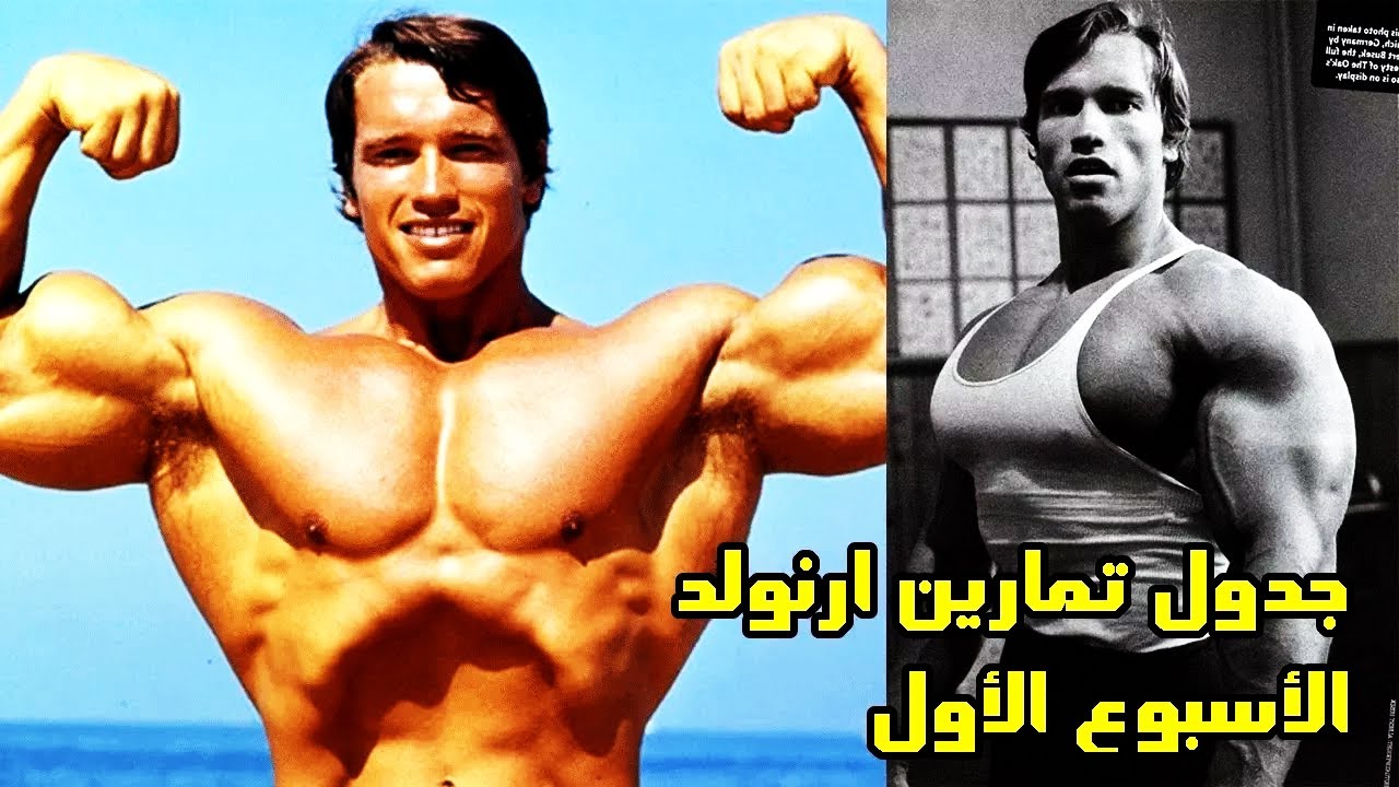 جدول تمارين ارنولد شوارزنجر للضخامة العضلية (الأسبوع الأول)