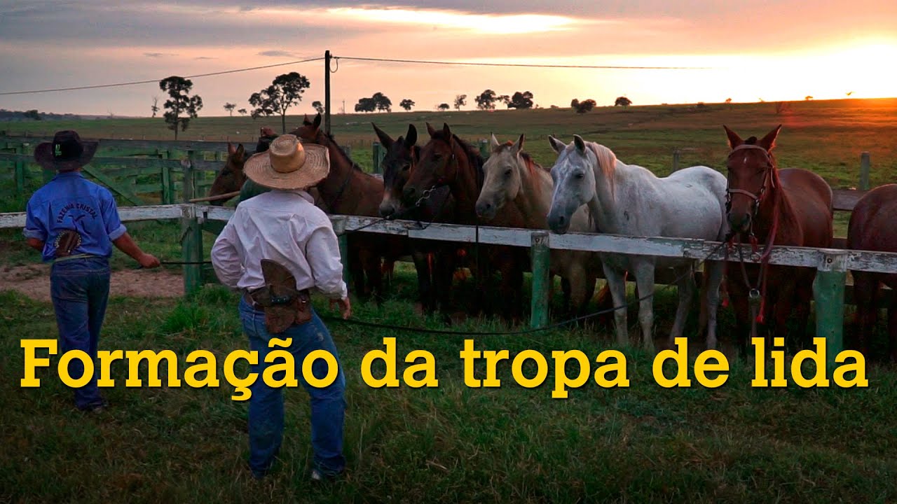 FORMAÇÃO E ARREAMENTO DA TROPA DE LIDA