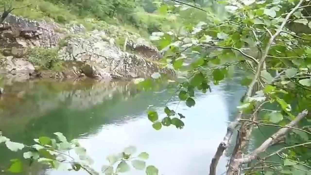 Salmon en TEMPRANAS