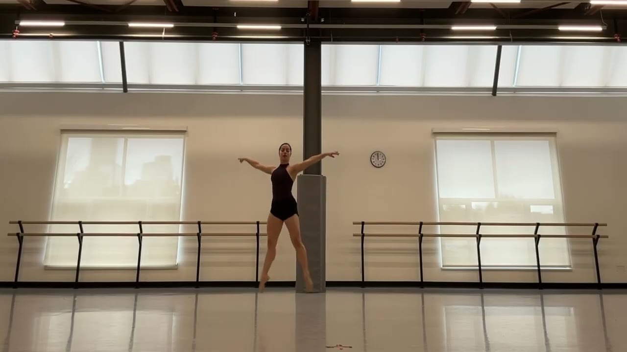 NDT Summer 2026  Audition Noga Feld