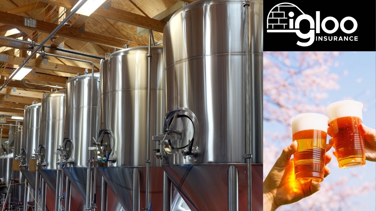 Everything You need to Know: Brewery, Winery or Distillery Insurance - Craft Beverage Insurance 101