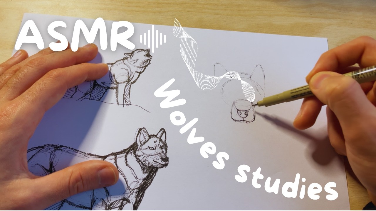 Je dessine des loups proche du micro 🐺✍🏼 / Bruit du papier / No talking ASMR relaxing
