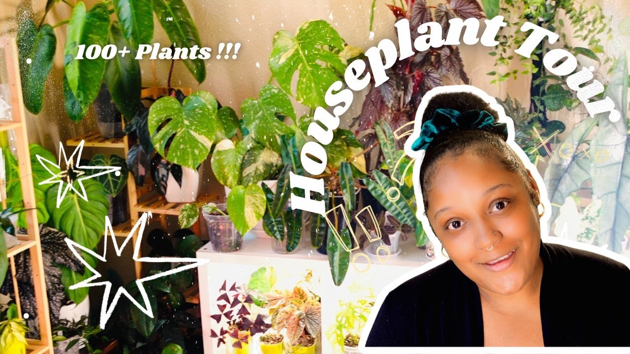 🍂 Fall Houseplant 🪴 Collection Walkthrough Tour 🌱 | New Fav Anthuriums + Flowering Alocasias |