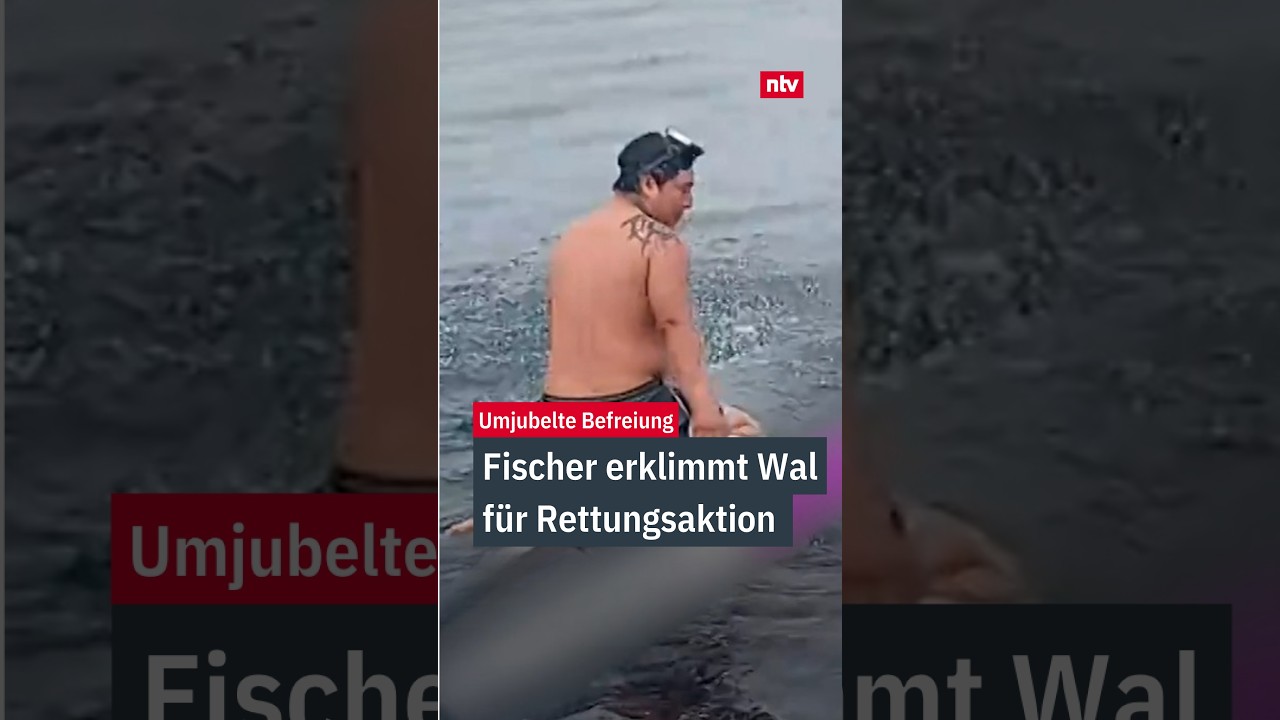 Fischer erklimmt Wal f&uuml;r Rettungsaktion | ntv