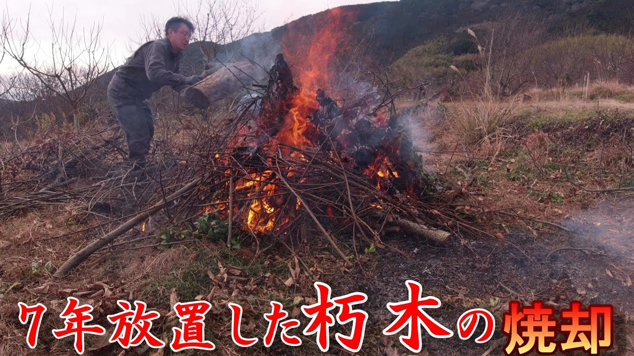 【７年放置した栗の朽木を焼却する】（栗枝の片付け・野焼）