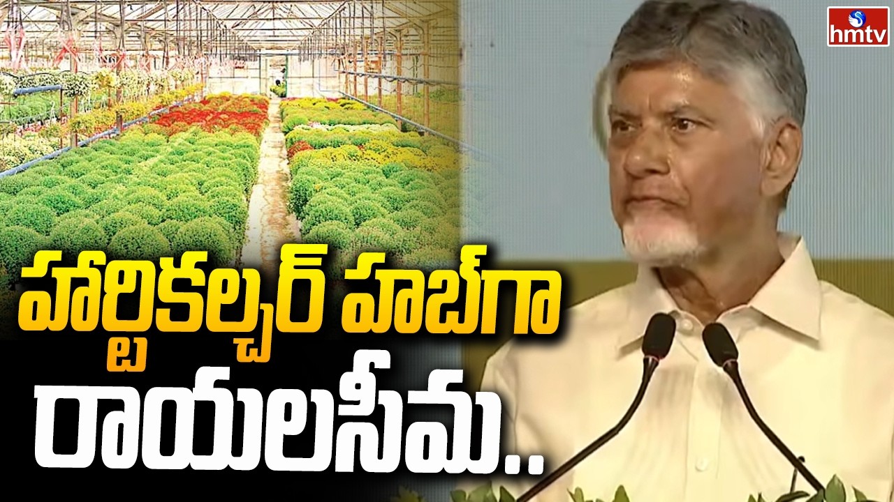 హార్టికల్చర్ హబ్&zwnj;గా రాయలసీమ.. | CM Chandrababu About Rayalaseema Development | hmtv