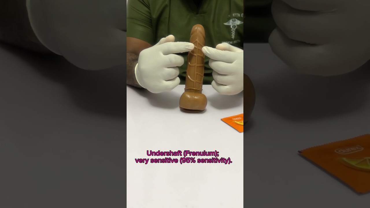 How sensitive are the various parts of the Penis? Penis anatomy 101
