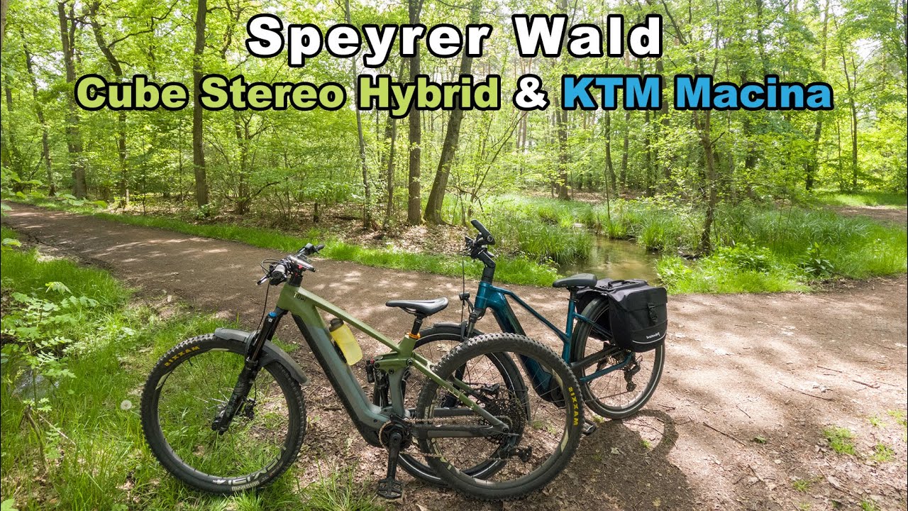 Wunderschöner Speyrer Wald | Cube Stereo Hybrid & KTM Macina