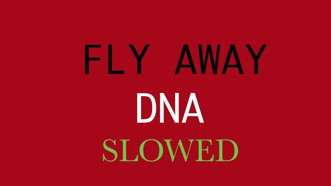 Lil Wayne  -  Fly Away DNA [[[ SLOWED ]]] Dedication 6