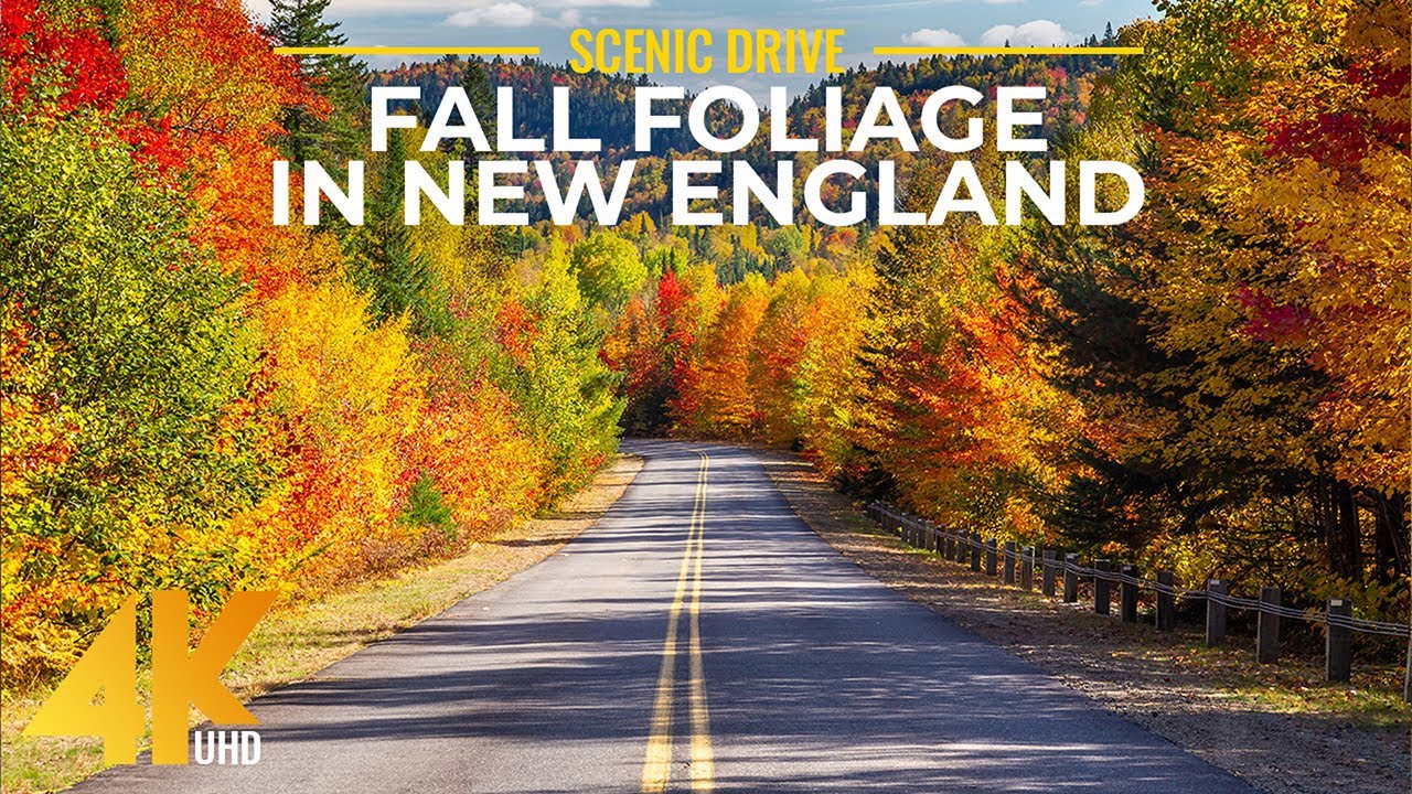 Autumn Scenic Roads of New England - Beautiful Fall Foliage in Connecticut - 4K Scenic Drive Video