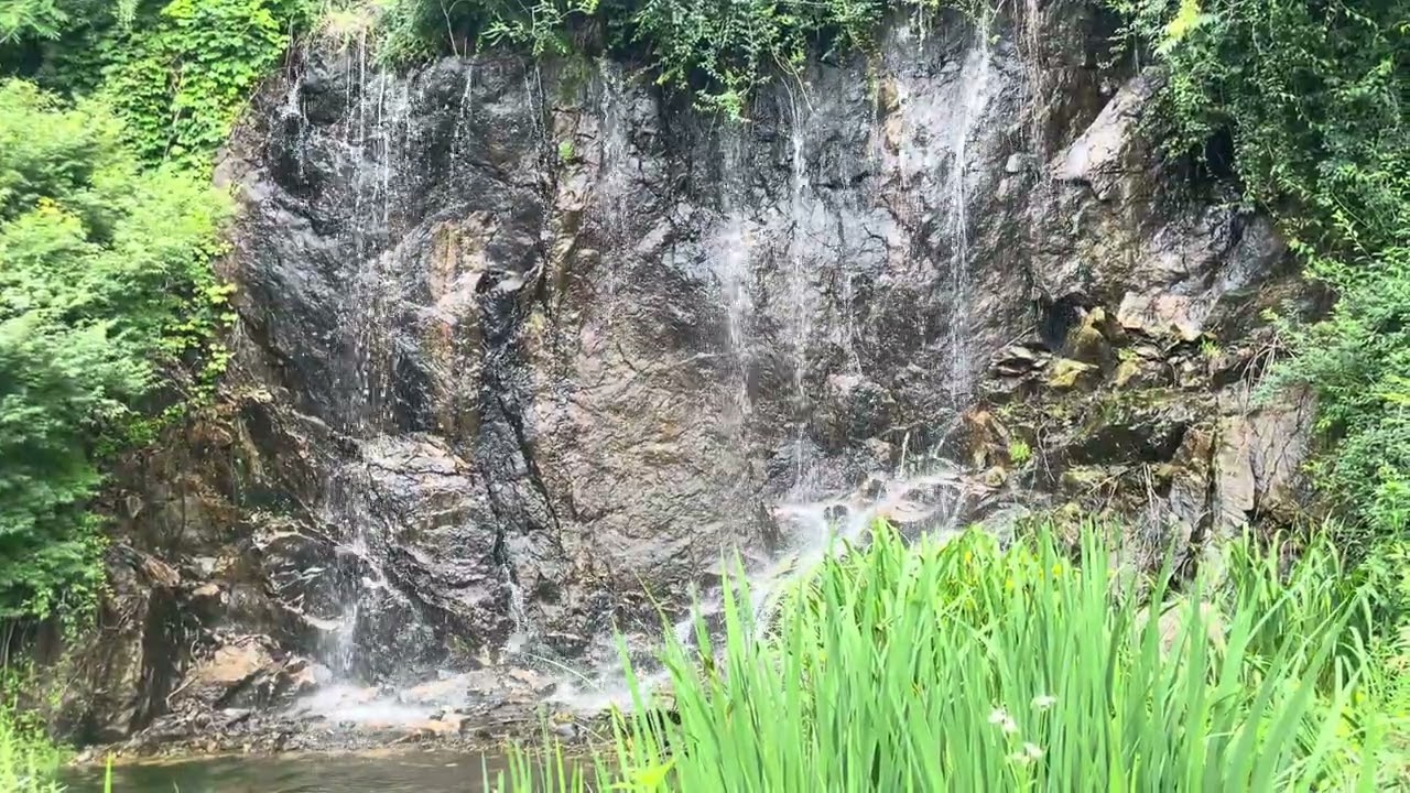 안동 물멍
