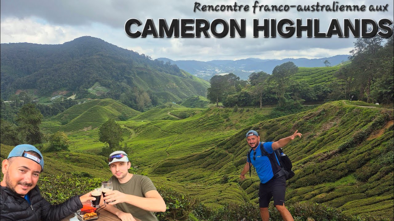 🇲🇾 RENCONTRE FRANCO-AUSTRALIENNE AUX CAMERON HIGHLANDS - Je voyage un mois un Asie du sud-est #5