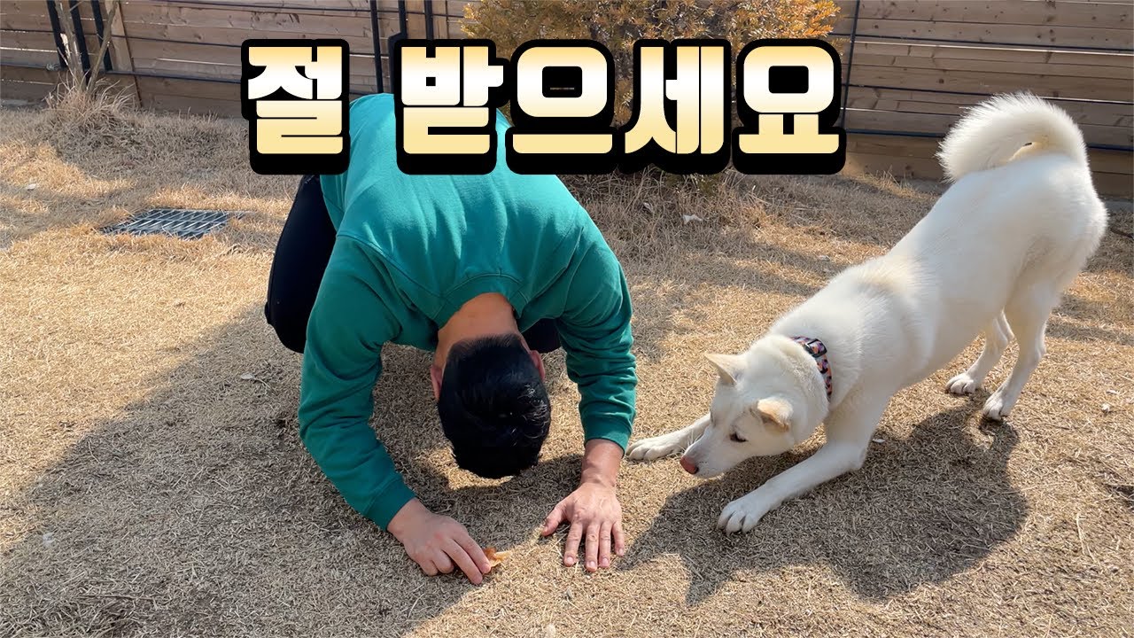 74번째 언중씨 생신 잔치  [(덤) 절 하는 강아지]