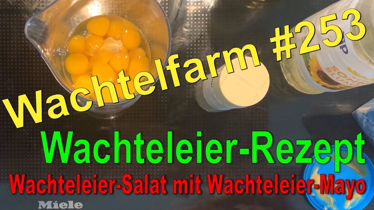 Wachteleier Salat mit Wachteleier Mayonnaise - Rezept Mayonnaise selber machen - Wachtelfarm #253