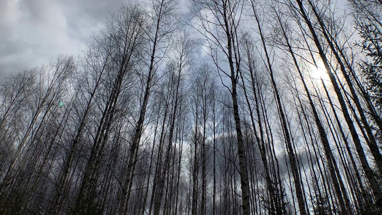 April 2020 徒步 Fisktr&auml;sk