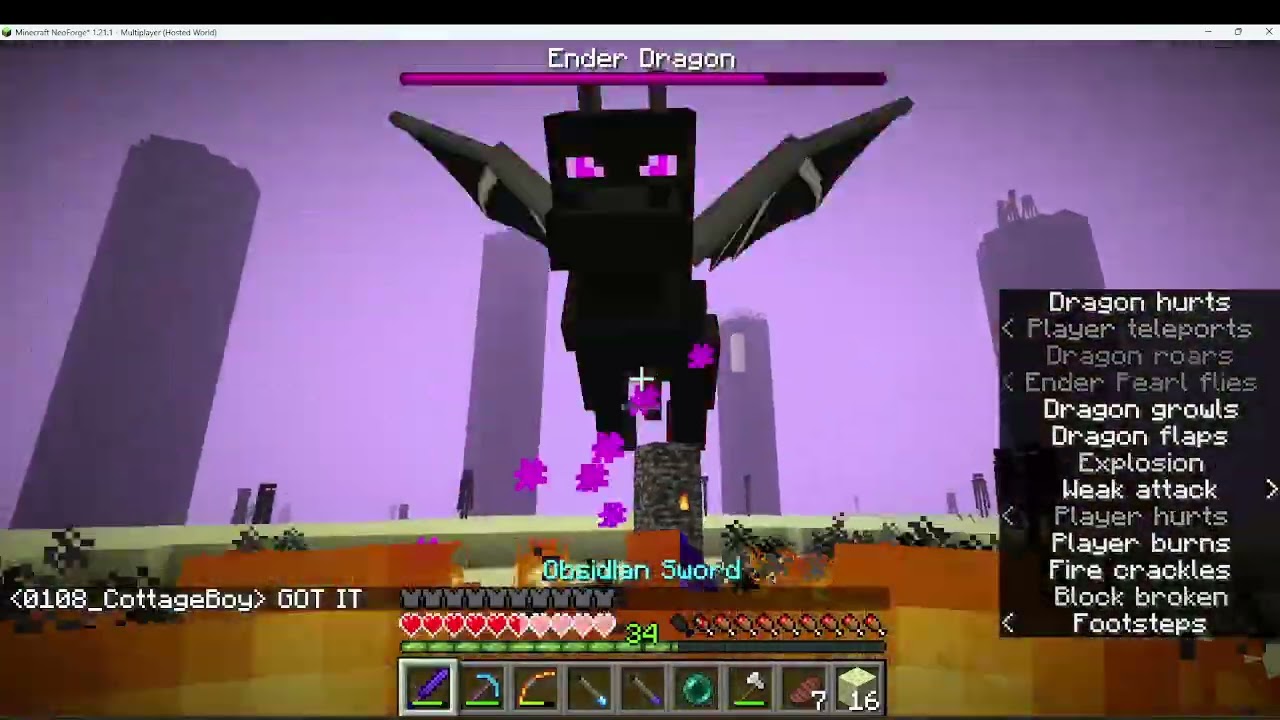 THE ENDER OF THE ENDER DRAGON!