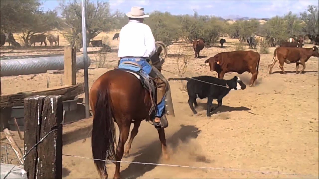 The Disciplined Ride