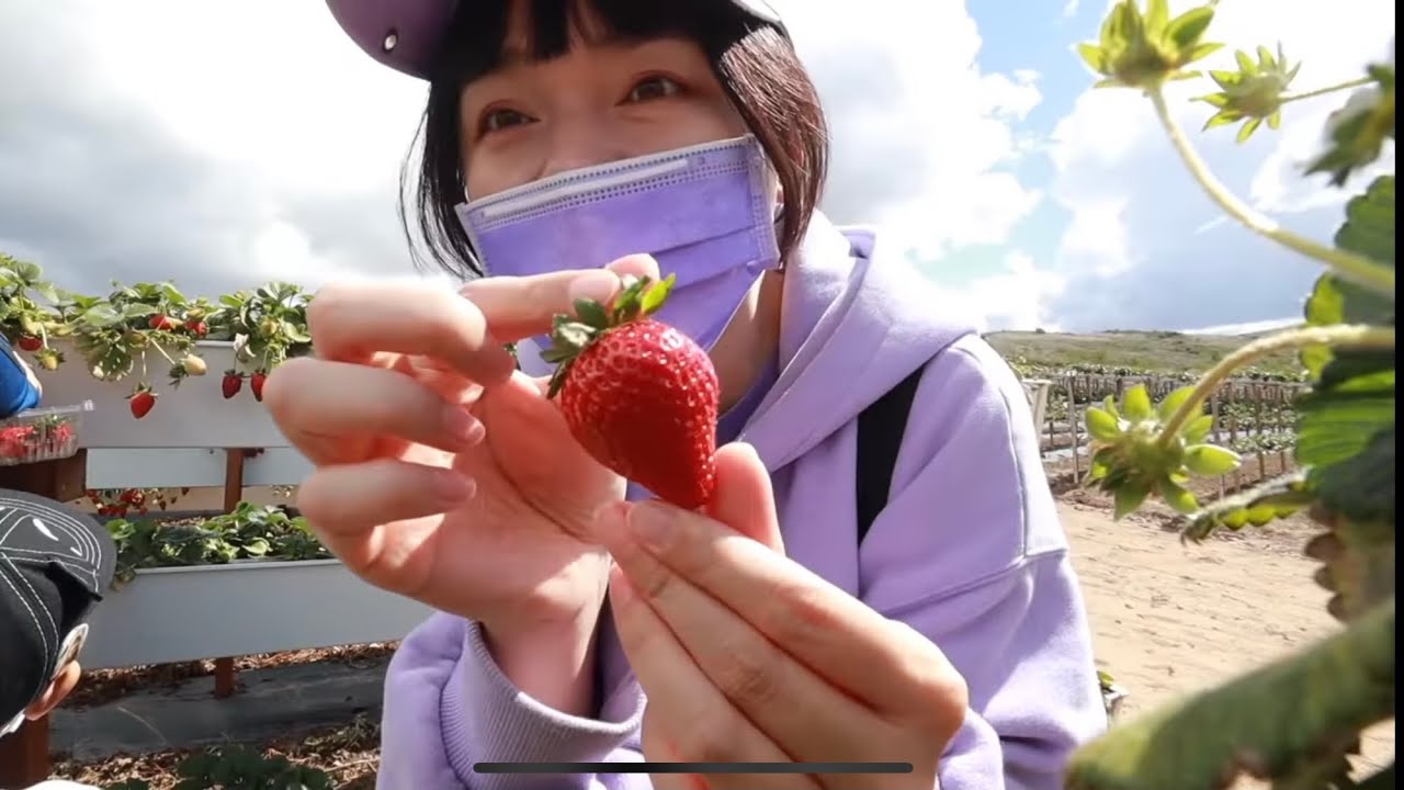 【週末Vlog】跟我們去美國超大農場採草莓！