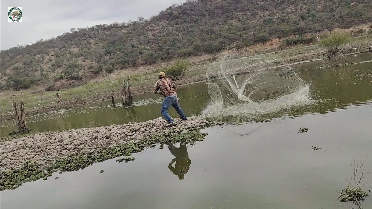 Mi hijo tarrayando por primera vez empezamos con las disqueras y terminamos con monstruos