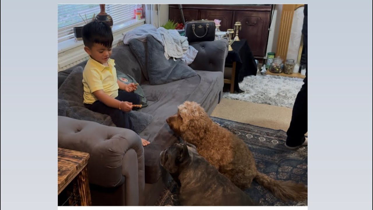 Kai & Simba 