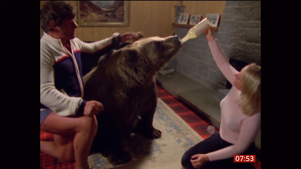 Hercules the bear - the big softie who did a runner (UK) 30/Dec/2025