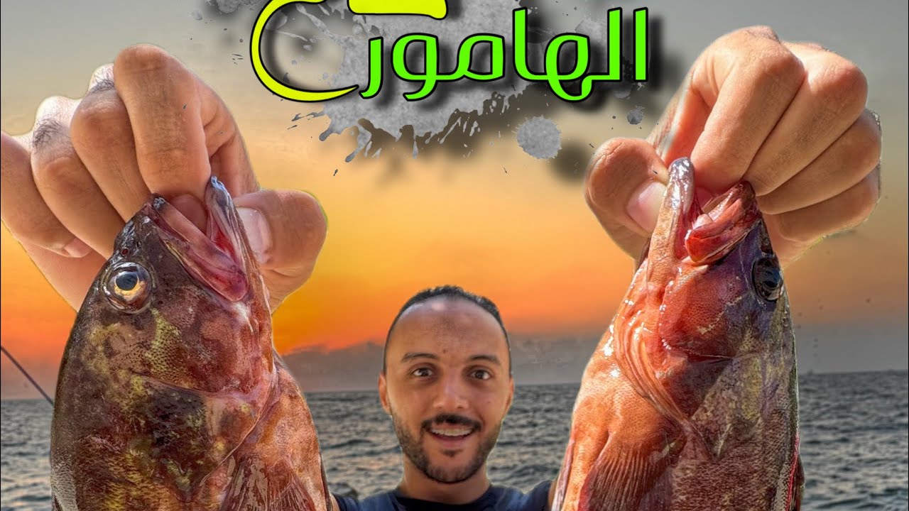 رحلة صيد من داخل قاع الهامور (كيف اصطاد هامور ) طريقة الصيد والطعم المستخدم 