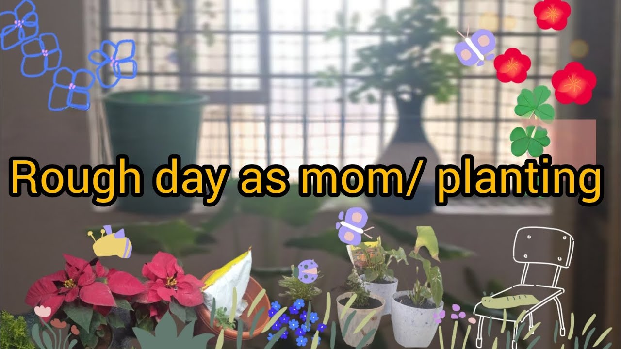Gardening fun and fever care| Real mom life 