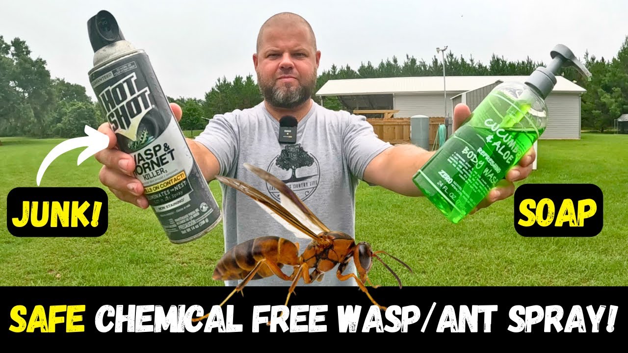 SAFE Chemical FREE Wasp/Bug Spray!