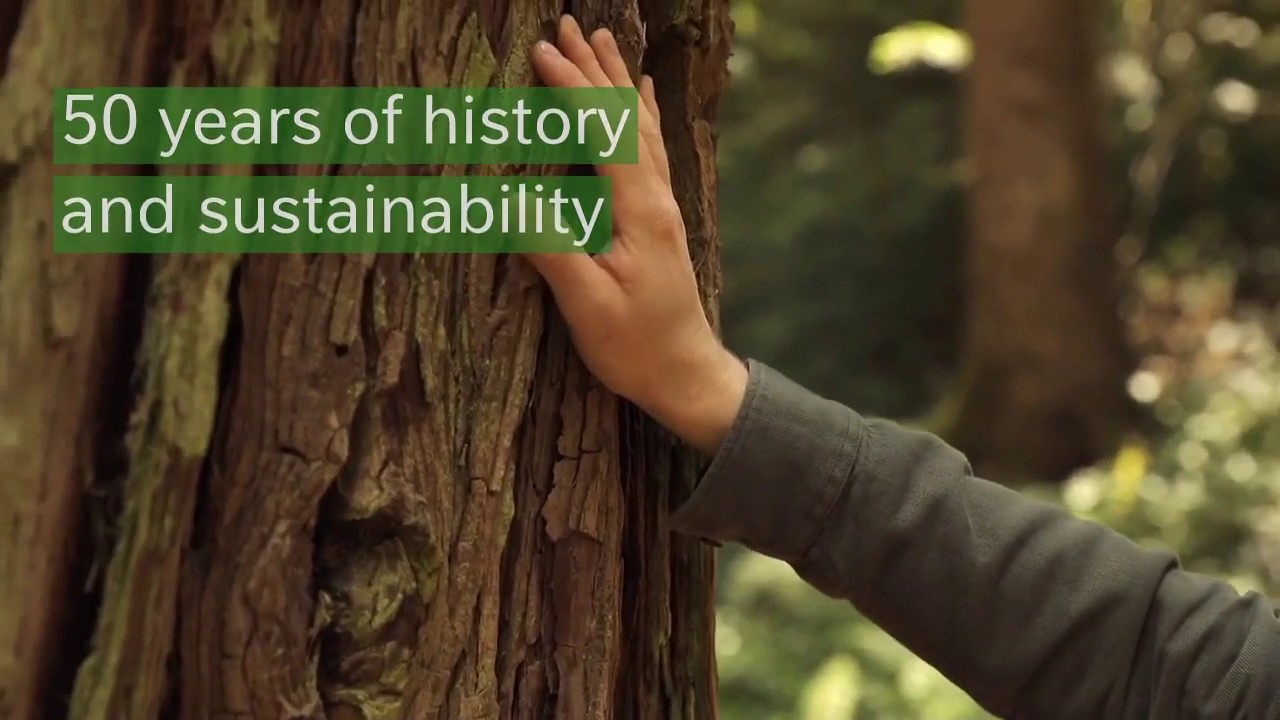 Viladrau & Montseny Natural Park: 50 years of history and sustainability