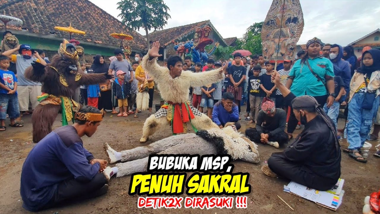 BUBUKA KUDA LUMPING MSP❗❗MUTIARA SURYA PUTRA 💥 LEMBUR KURING