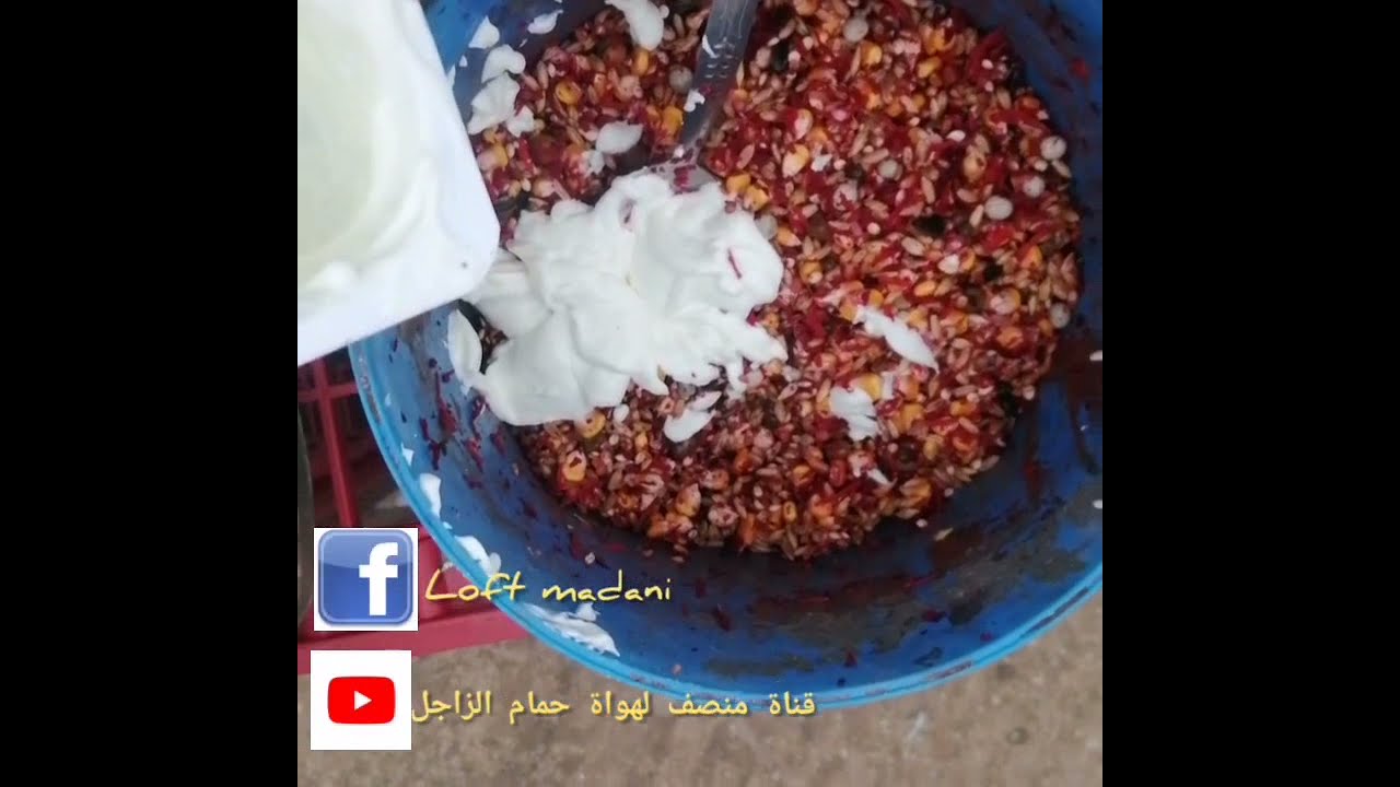 حلقة اليوم كيفية صنع قيتامين و بروبيوتيك  طبيعي للحمام الزاجل وبدون تكلفة 💲💵 بارطاجي لتعم الفائدة